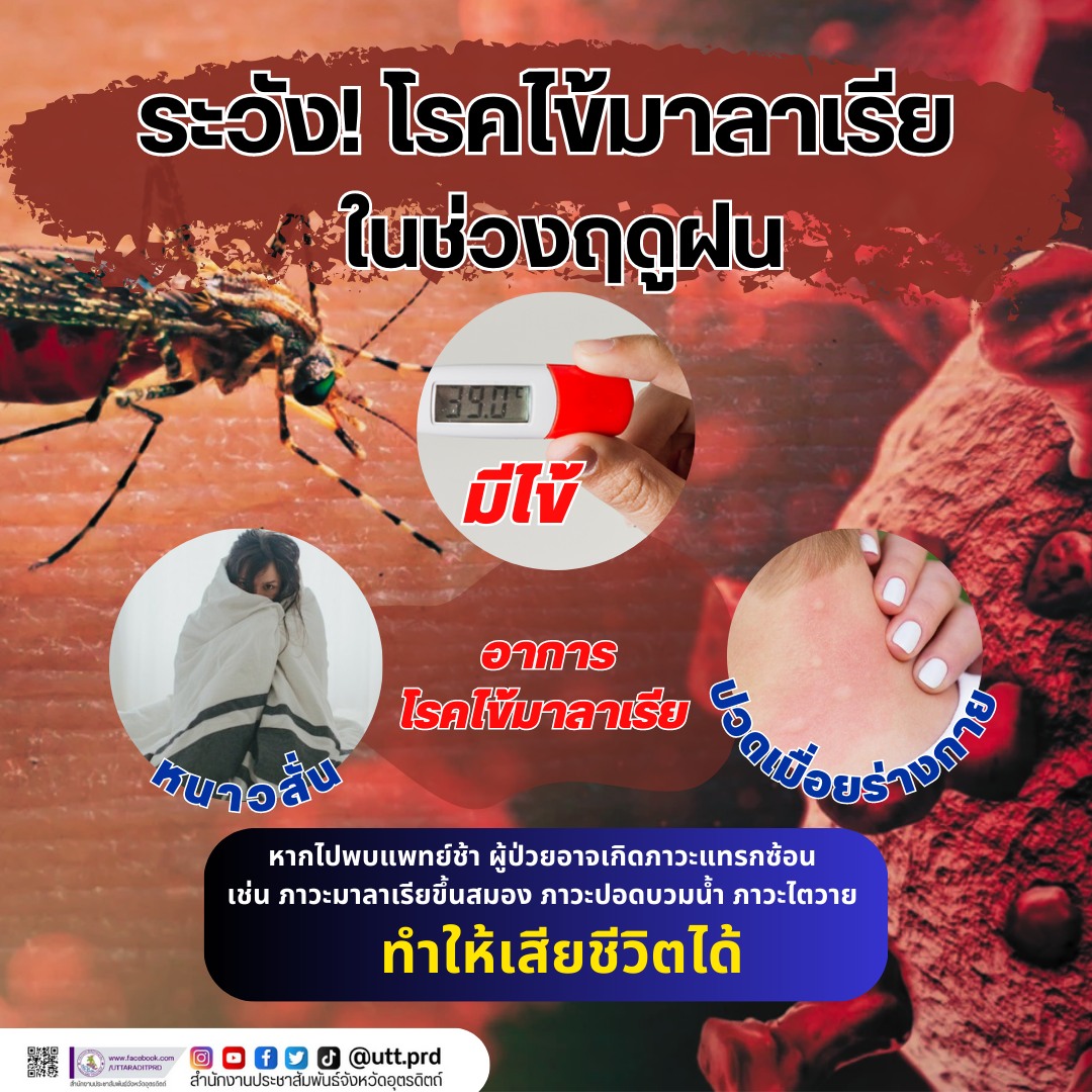 รูปภาพหน้าปก 16666dc7-8135-47b9-8b2a-7c0445757940