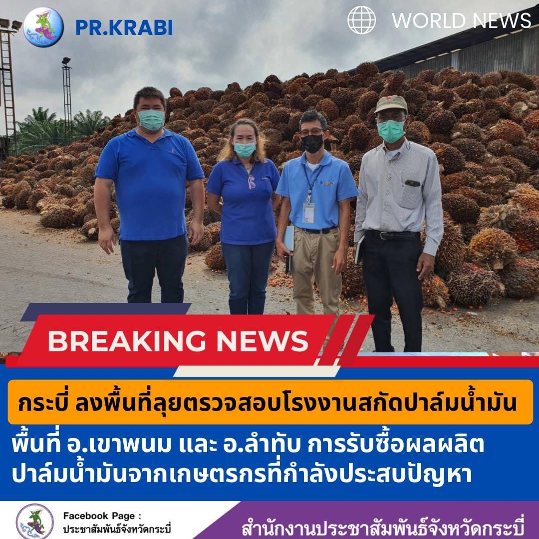 รูปภาพหน้าปก b291377d-659a-4037-b70c-b976ade2a8ff