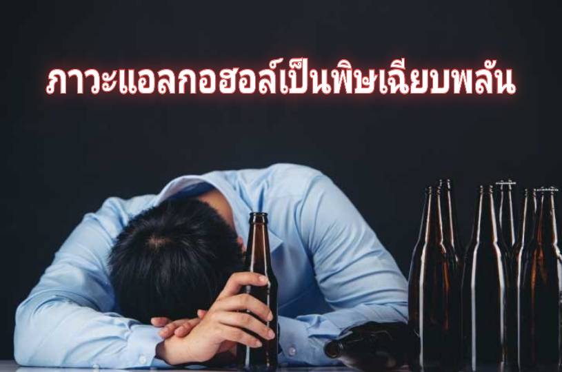 รูปภาพหน้าปก 622b5035-7068-4036-b848-0eabd2c3735f