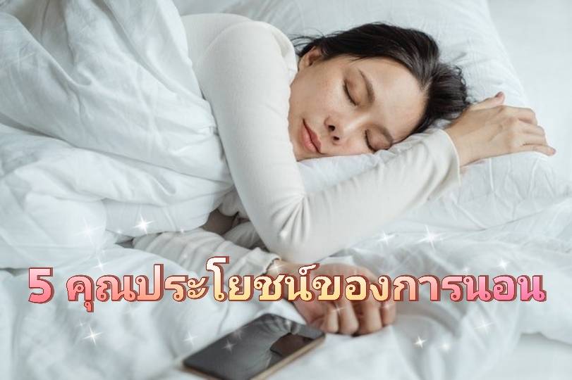 รูปภาพหน้าปก 077f8bd4-2bbe-4d74-a3f5-39e7cdbc4b23