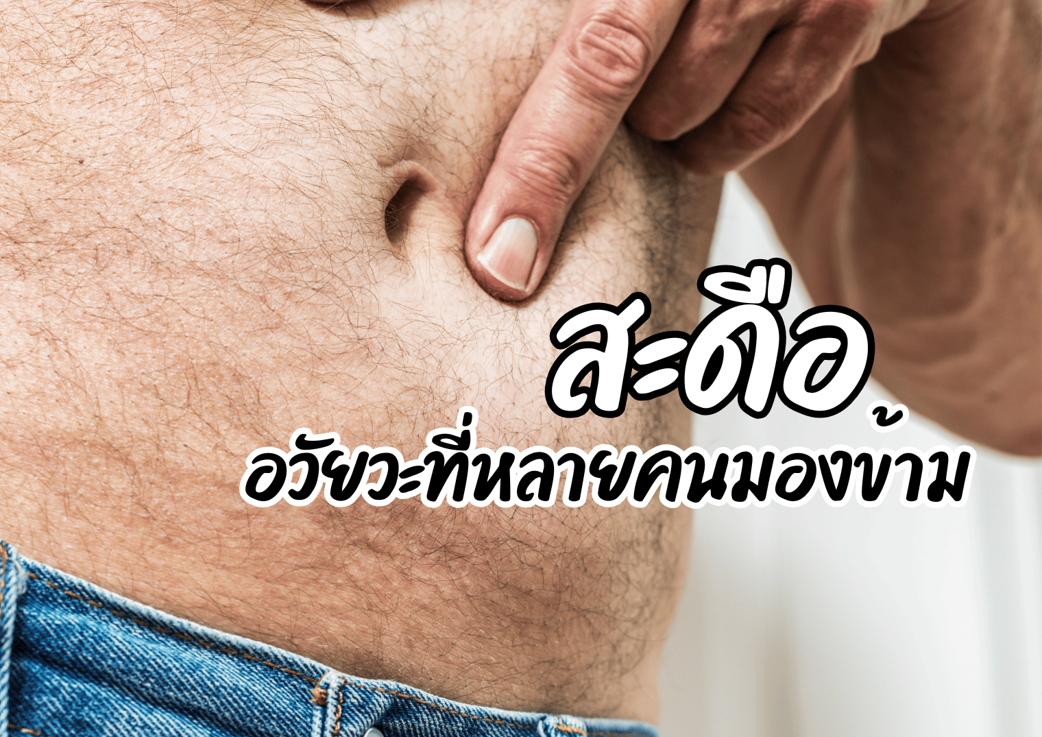 รูปภาพหน้าปก 81d50686-00ee-408e-96f6-47b6175075d3