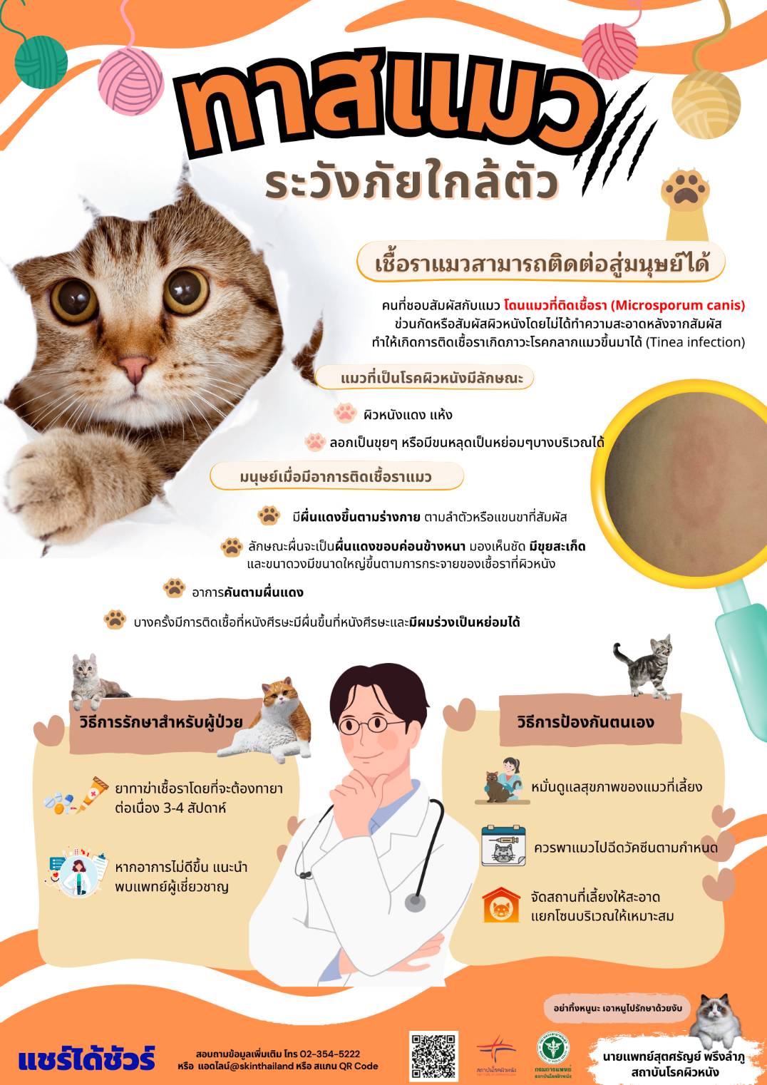 รูปภาพหน้าปก e8552e84-1397-4f0a-8f01-775f337bee5d