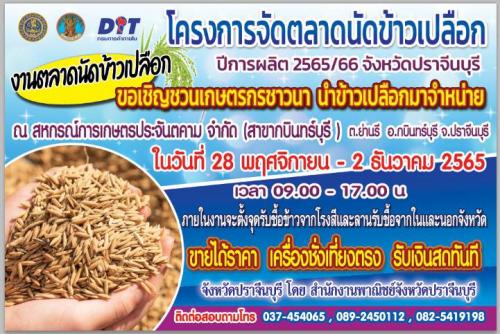 รูปภาพหน้าปก 1f560de4-b15a-4196-b250-a3492d366b2f