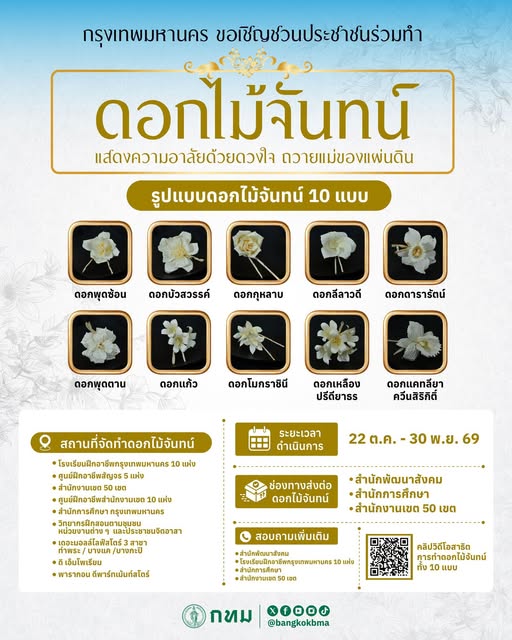 รูปภาพหน้าปก dca2602c-f03c-4c9c-af3e-52738de81486