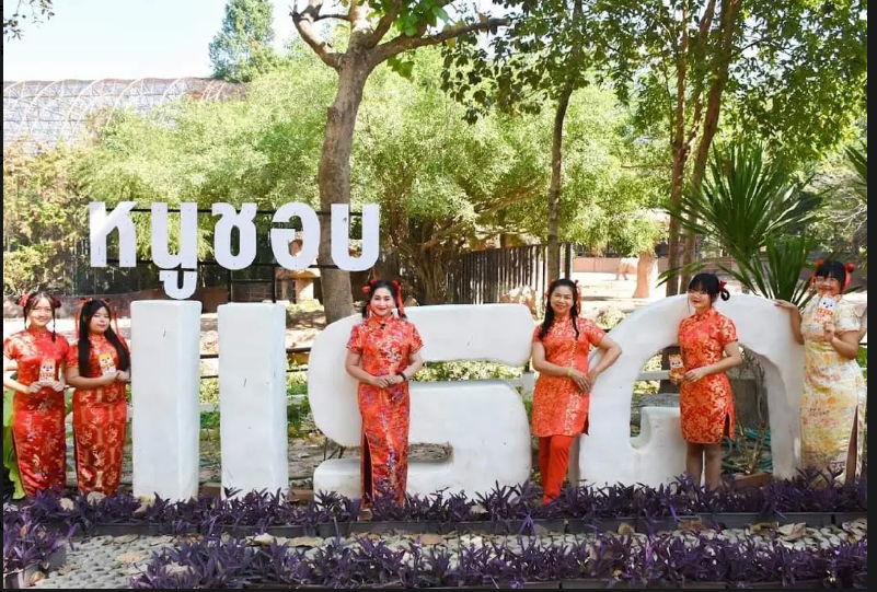 รูปภาพหน้าปก bf97bf2a-51a1-4d87-98a6-86a0e9f01b8a