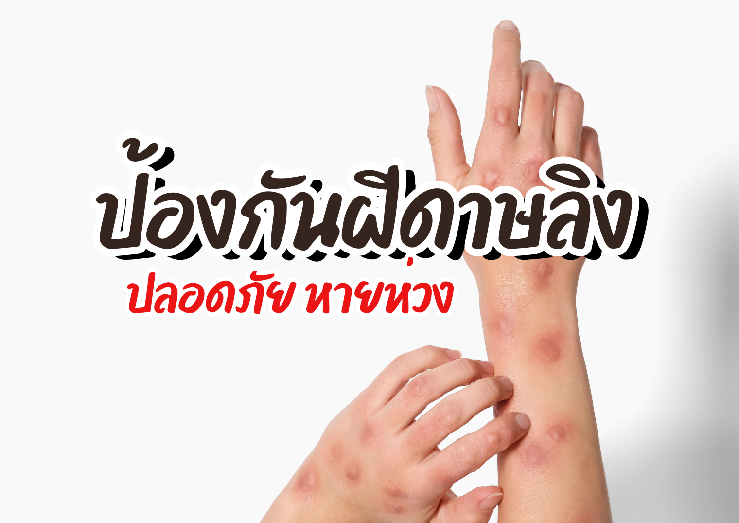 รูปภาพหน้าปก 038d1c24-507d-4686-90ba-dd211d7c1c8c