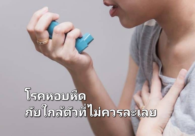 รูปภาพหน้าปก 7ce76452-38ab-45df-a736-a5a53ec64565