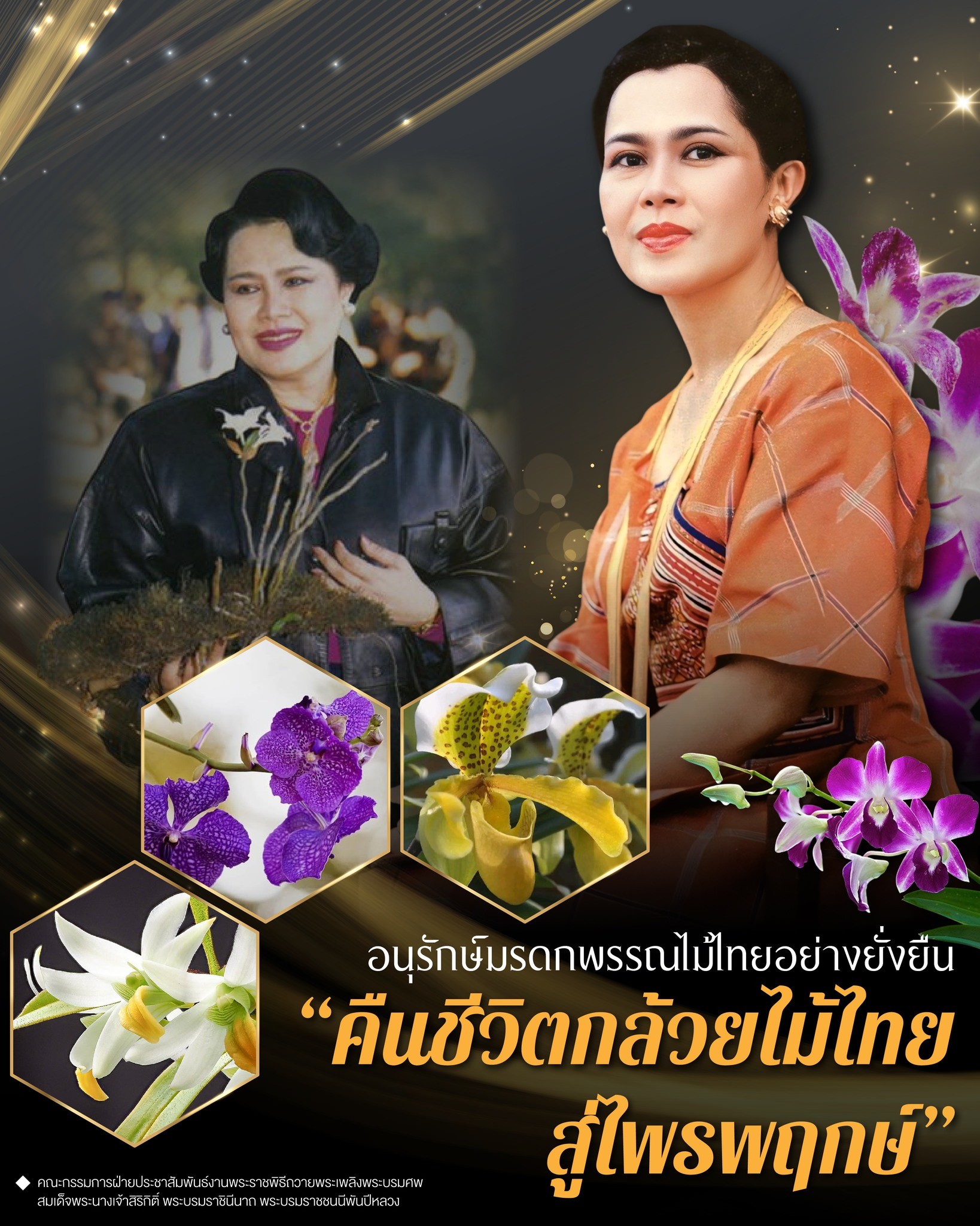 รูปภาพหน้าปก 0b0eefb7-4f5f-4417-bf5d-7c48f1fec615