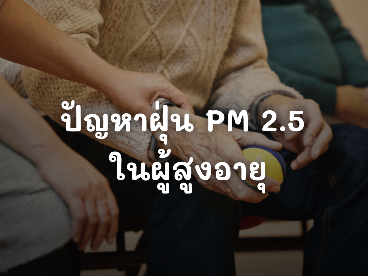 รูปภาพหน้าปก f22d2178-ec8c-4fde-885c-b95132a4c3d2
