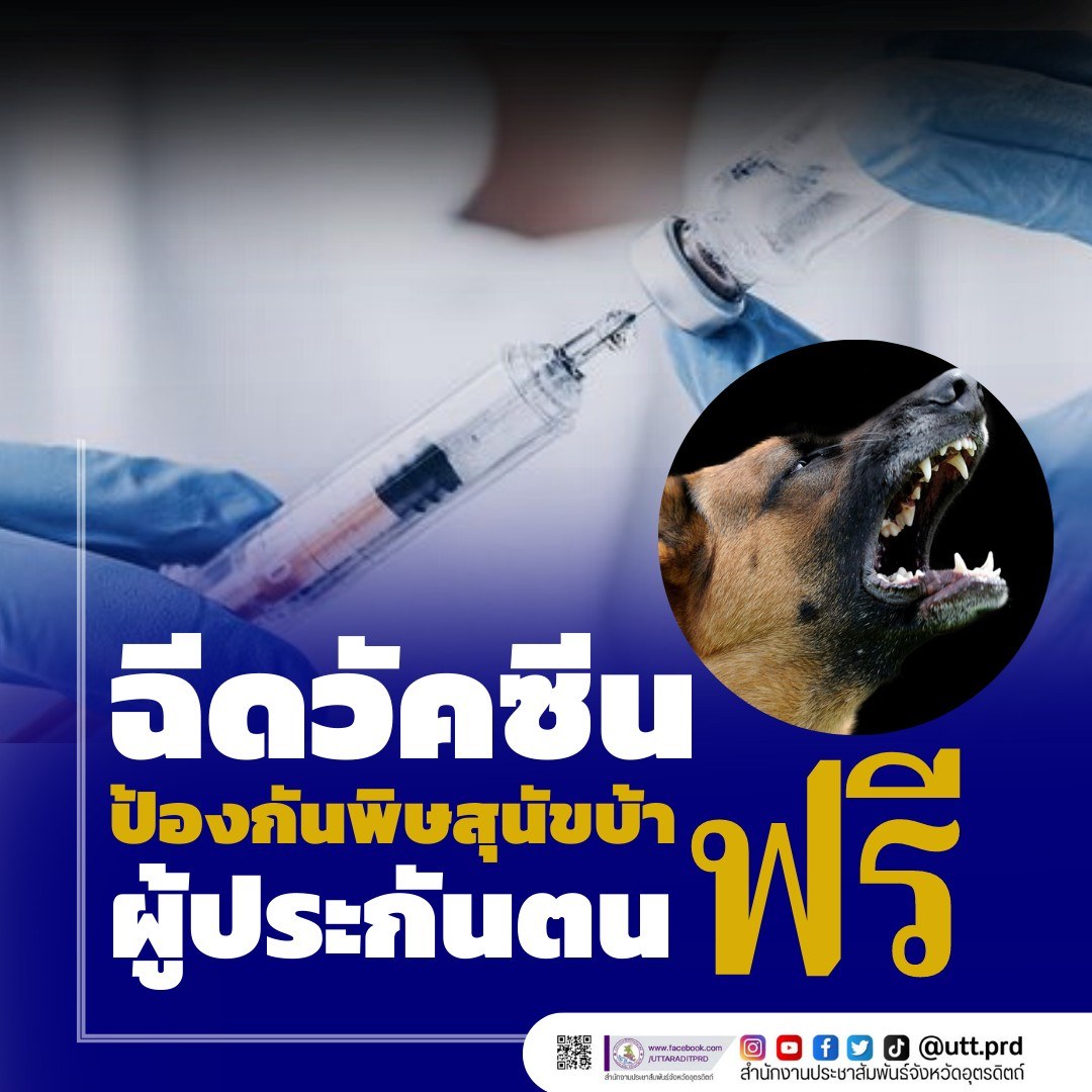 รูปภาพหน้าปก 253dc91e-c5ce-4816-8fc6-b4d338bf808b