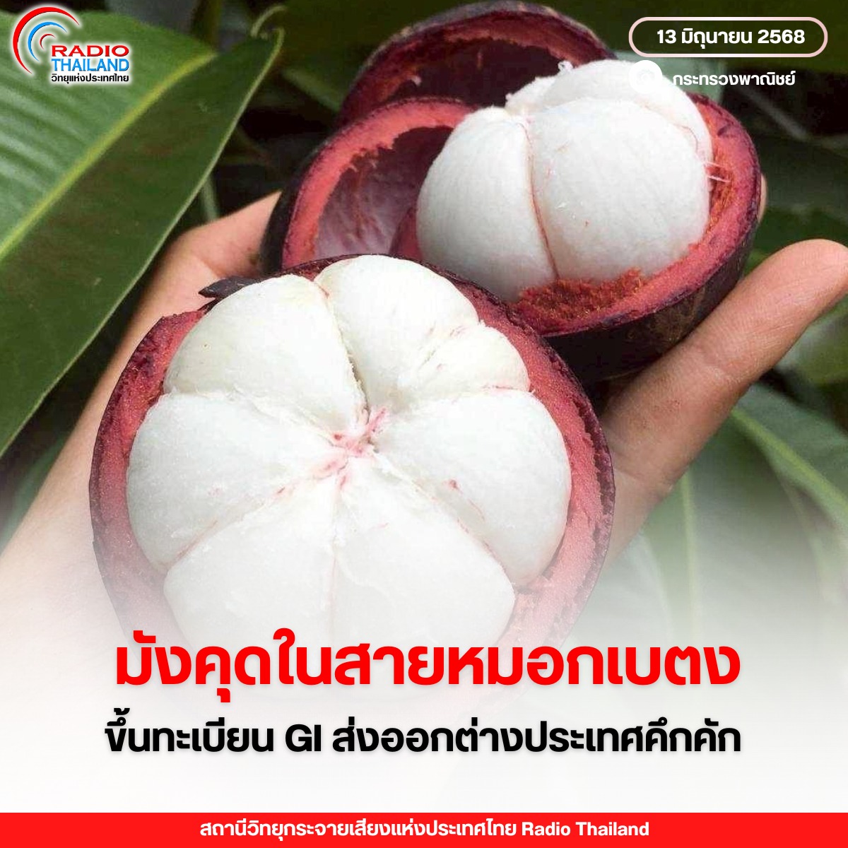 รูปภาพหน้าปก 6a798240-20e5-48a2-8348-1386b6c4efbd