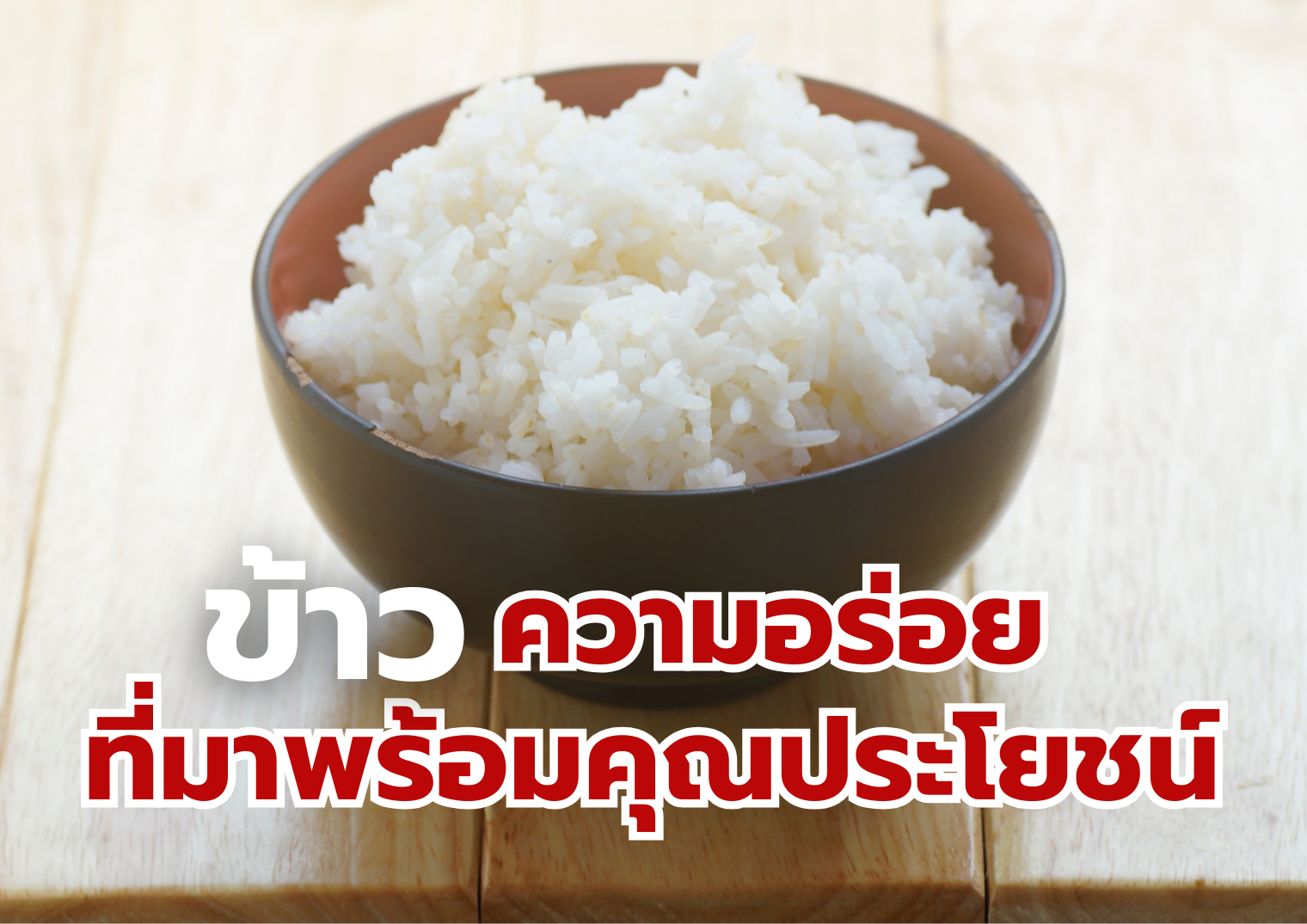 รูปภาพหน้าปก 7c6c8880-144f-42bc-9b62-f56433614936