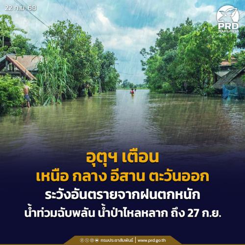 รูปภาพหน้าปก c172d468-f44e-4de7-bde5-28e9c9b9b70c