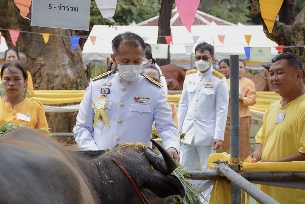 รูปภาพหน้าปก c5872226-c9f9-40e9-9410-15a109adcba3
