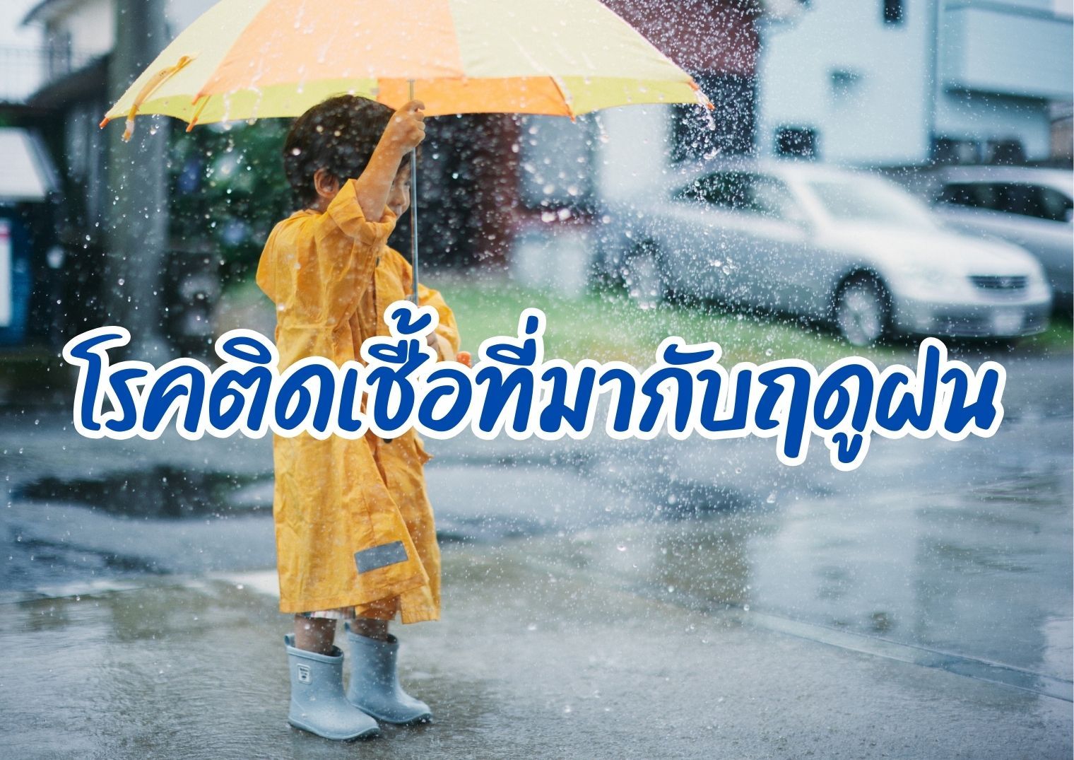รูปภาพหน้าปก b40133cb-2987-4463-a315-c231973e06f0