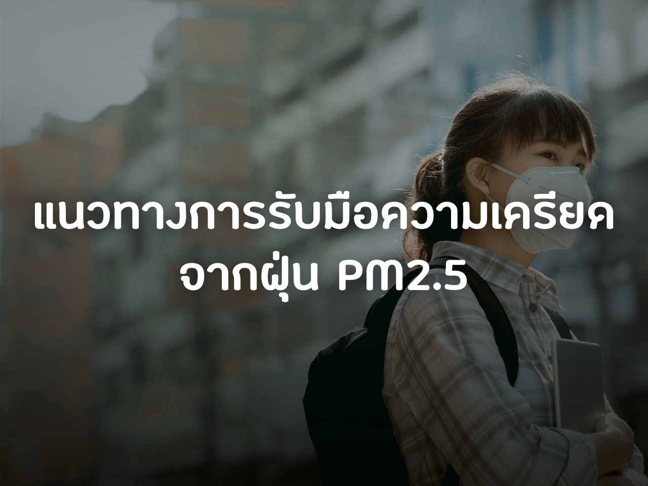 รูปภาพหน้าปก b268b304-8bf4-4631-8bc4-65d79deb6f12