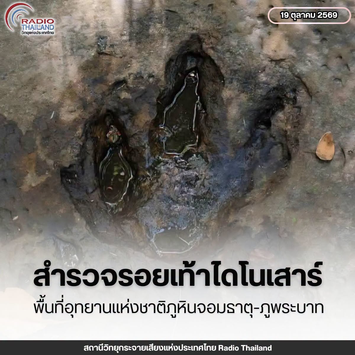 รูปภาพหน้าปก 45c81fd4-ca89-4c81-9b01-19275ab423d5