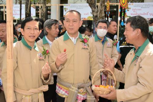รูปภาพหน้าปก c15ff22d-128b-4e3f-85b6-2e544c471c73