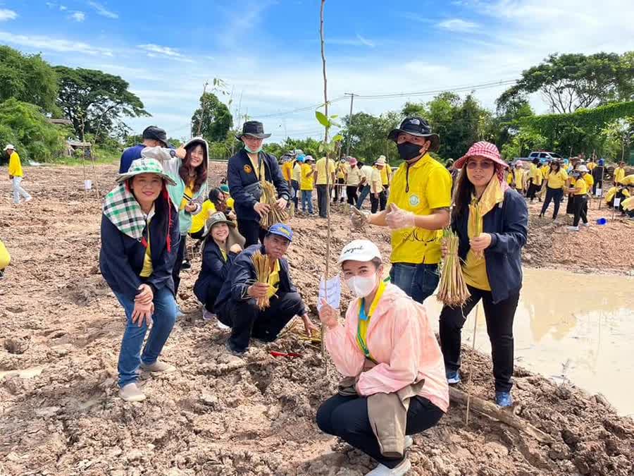 รูปภาพหน้าปก d3398740-0410-42a9-8313-9ca0cc16d60d