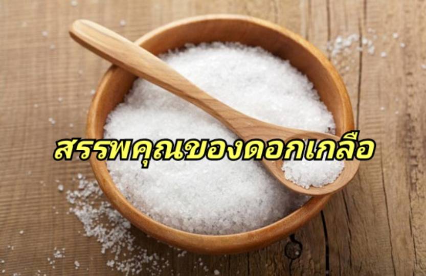 รูปภาพหน้าปก c6134005-2024-4b91-8ba3-457f70af0d05