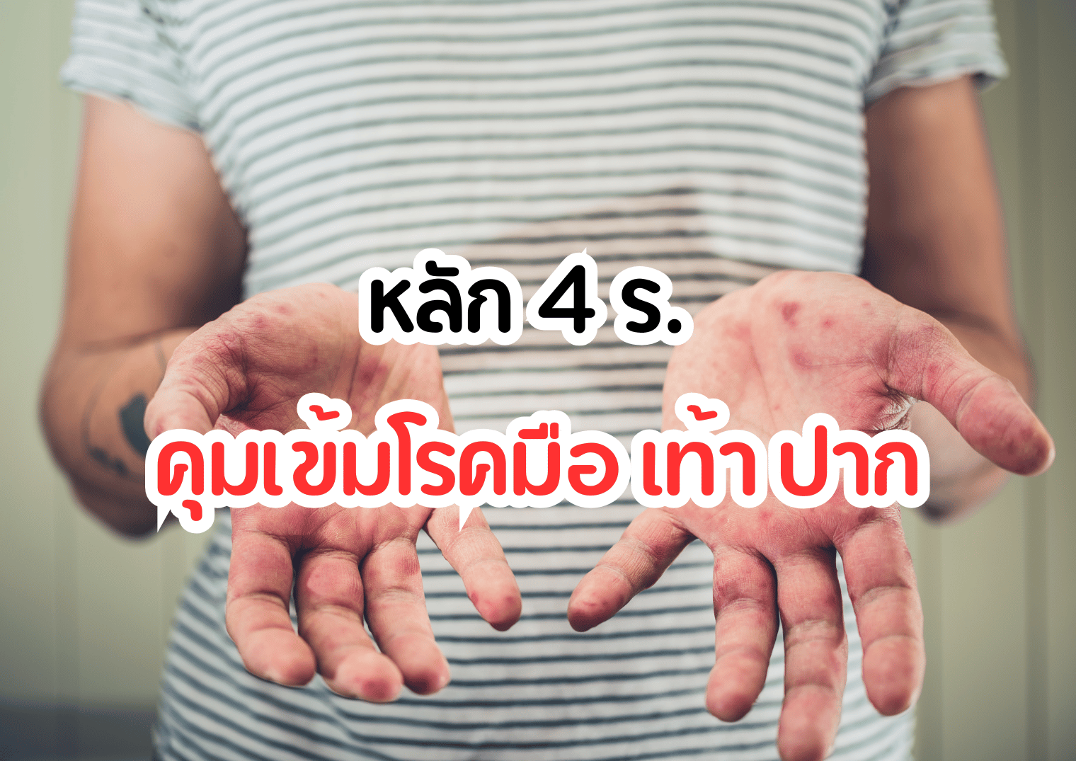 รูปภาพหน้าปก a73abd26-67ef-484a-ad81-018d0f3f0e7c