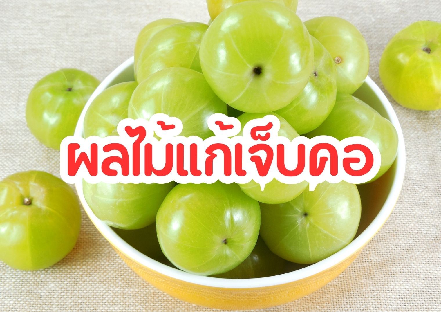 รูปภาพหน้าปก 5f533ff9-2bfe-4ce7-8c76-668680ff486c