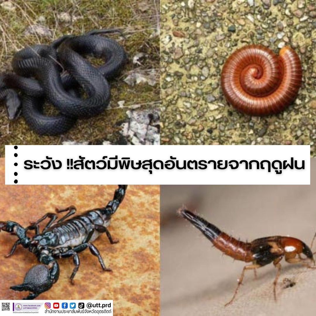รูปภาพหน้าปก 81654d6b-21f5-4ac4-8642-b73cc0c92096