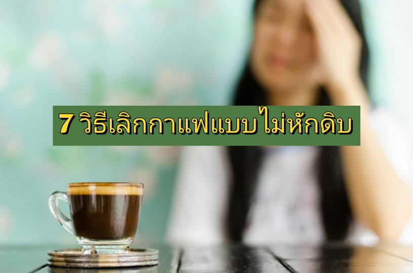 รูปภาพหน้าปก 5d330ce6-90e3-4e2d-8db7-fe5155d42ec6