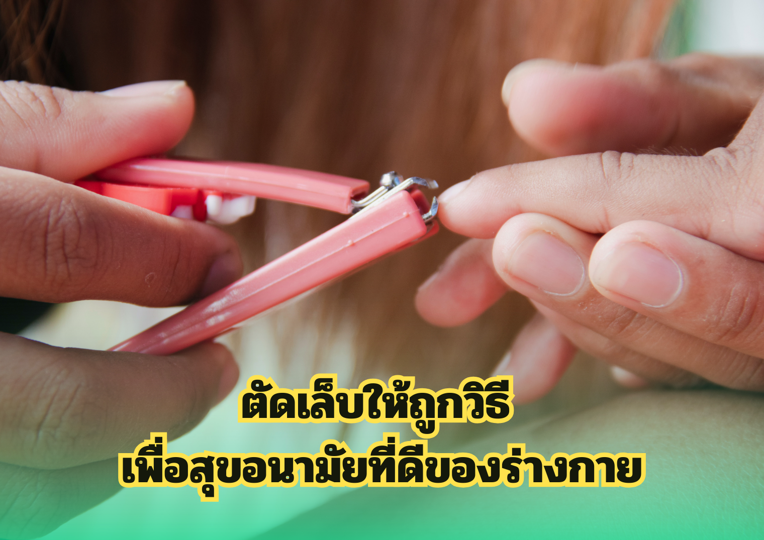 รูปภาพหน้าปก 4c29d69d-b5c0-4fed-b816-bf2c159aa4f0
