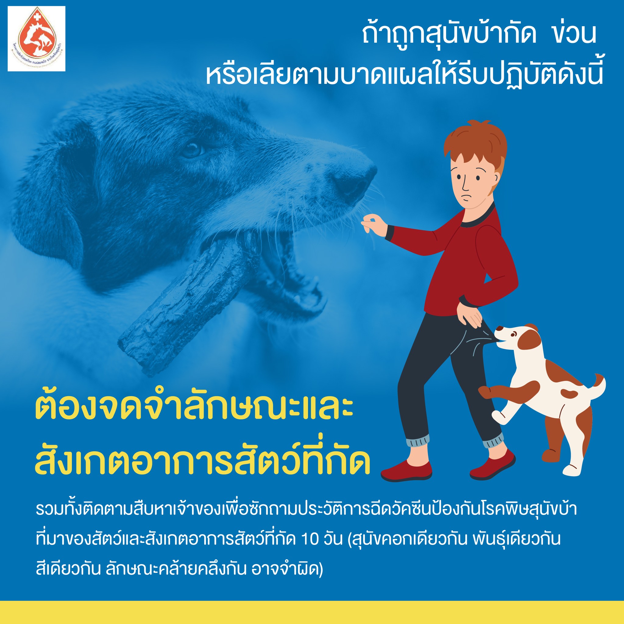 รูปภาพหน้าปก 06eb12ee-fff9-4610-95b3-b7240908caf6
