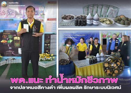 รูปภาพหน้าปก 64e0472c-dffc-4125-a980-67f3d5f19999