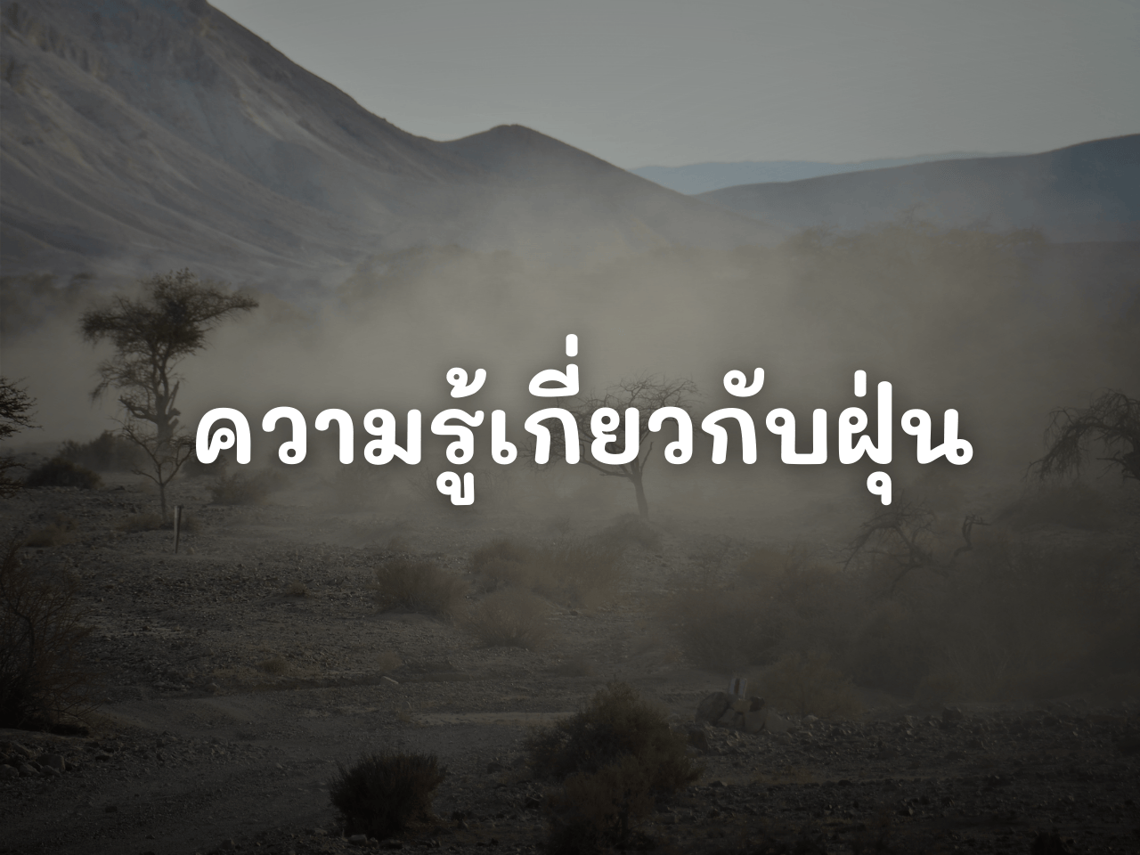 รูปภาพหน้าปก b3f468f2-b6e8-4f53-aa23-985db7824f67