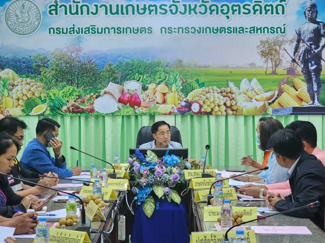 รูปภาพหน้าปก fda8fd43-fefa-4323-bac8-ca738fa5059b