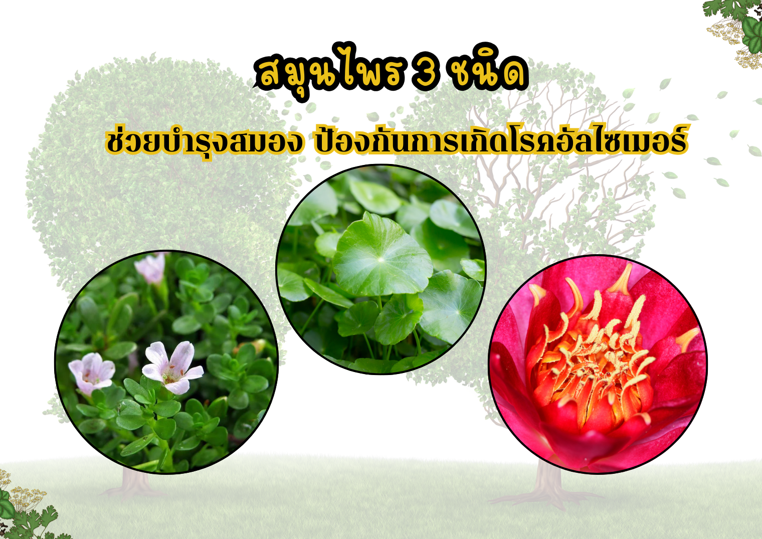 รูปภาพหน้าปก c13e5048-d916-4631-a76f-34b8076a691c