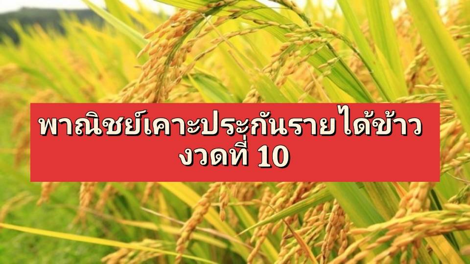รูปภาพหน้าปก 4a5fa34d-aa80-4188-a0ad-6d12dd9fcc74