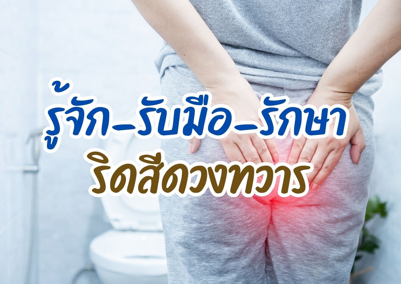 รูปภาพหน้าปก 437a9169-3075-453c-aaf4-57a311dab5b5