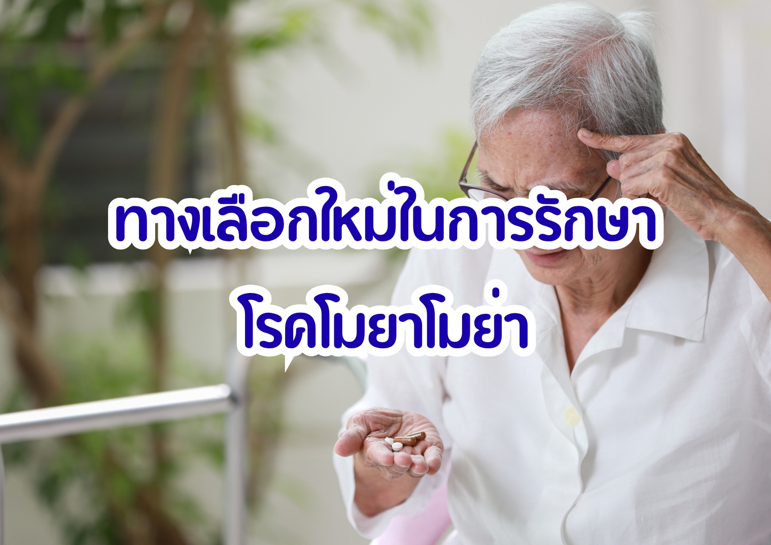 รูปภาพหน้าปก b3ecc007-1d32-40f7-a7c2-0adaf4fc33dd