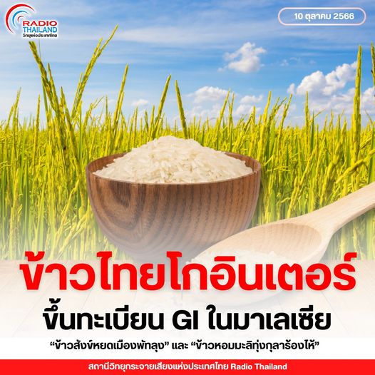 รูปภาพหน้าปก a446c704-67b4-48e2-9e5a-98b7f44e7274