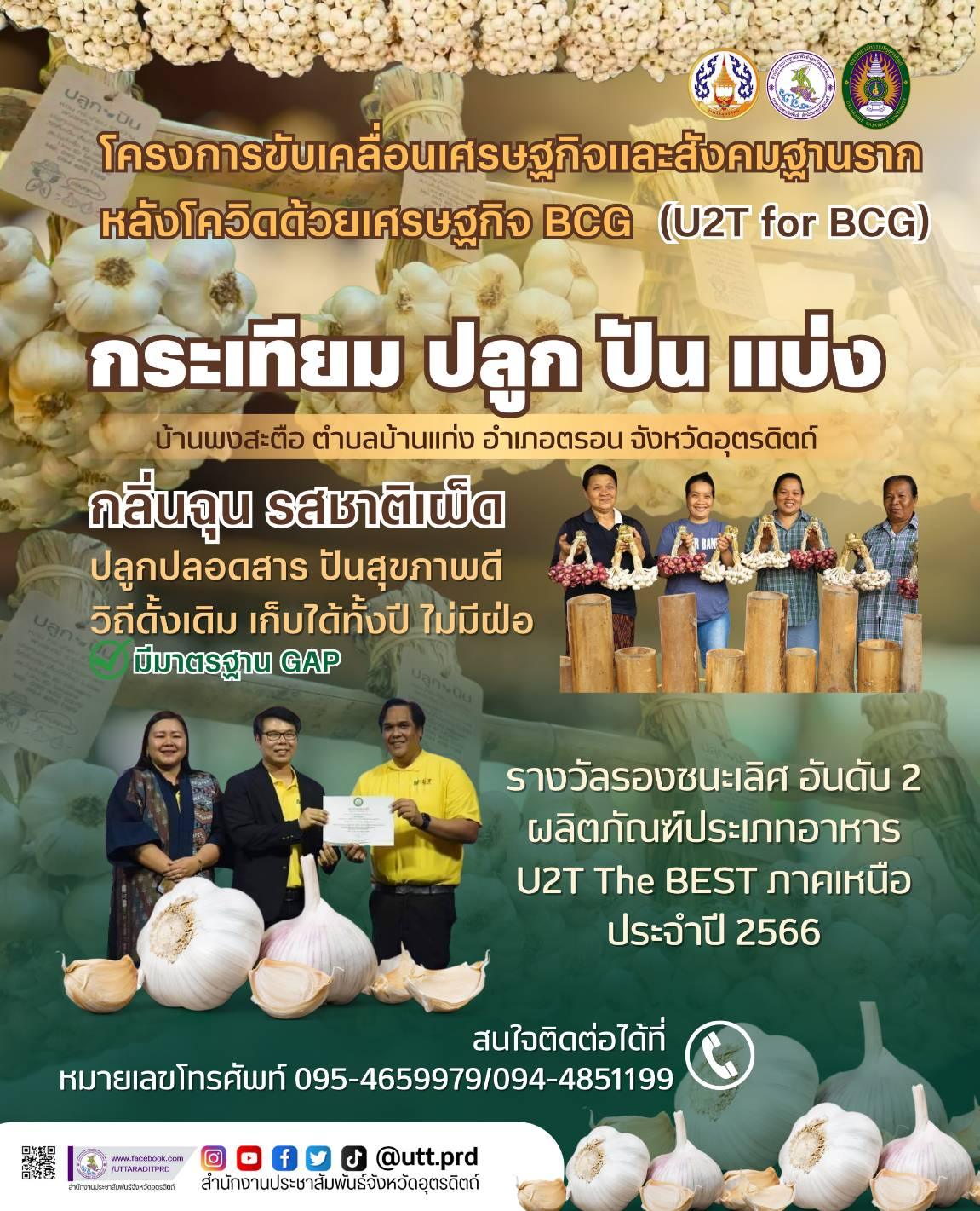 รูปภาพหน้าปก e7449f03-fd79-44f8-bdaf-2c6e19feabeb