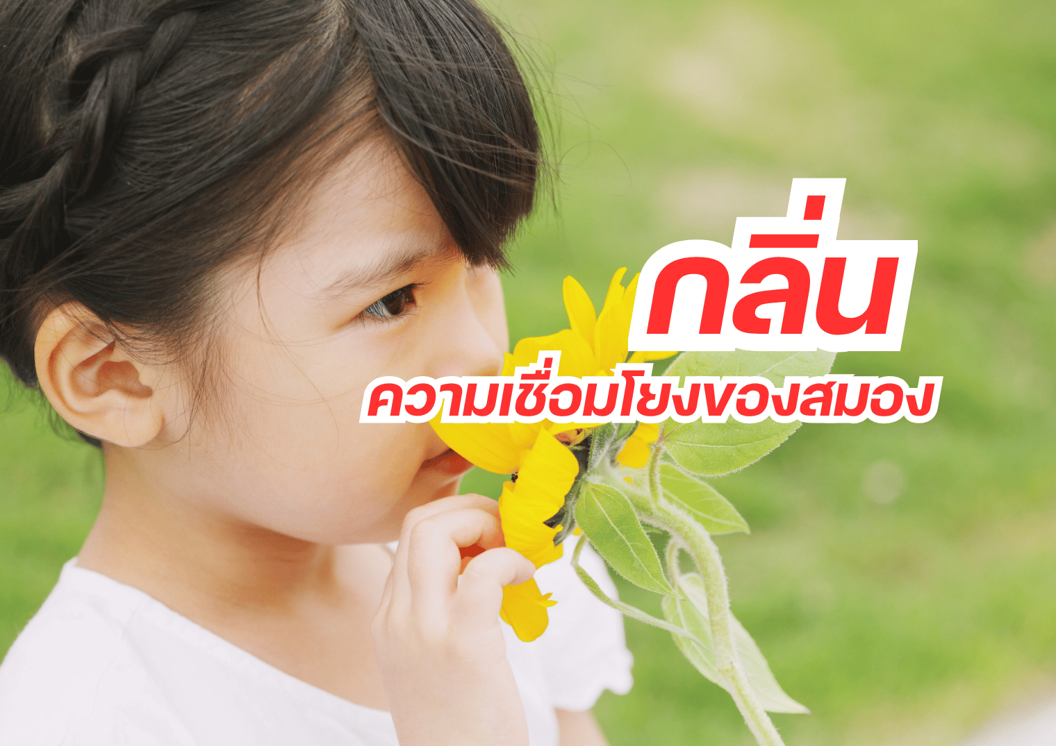 รูปภาพหน้าปก 91eb74a8-0f83-41be-b930-20b05d4d51bd