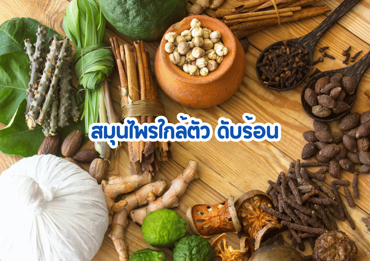 รูปภาพหน้าปก e11ea412-55c7-4bdf-9b99-bda0a3729d5d