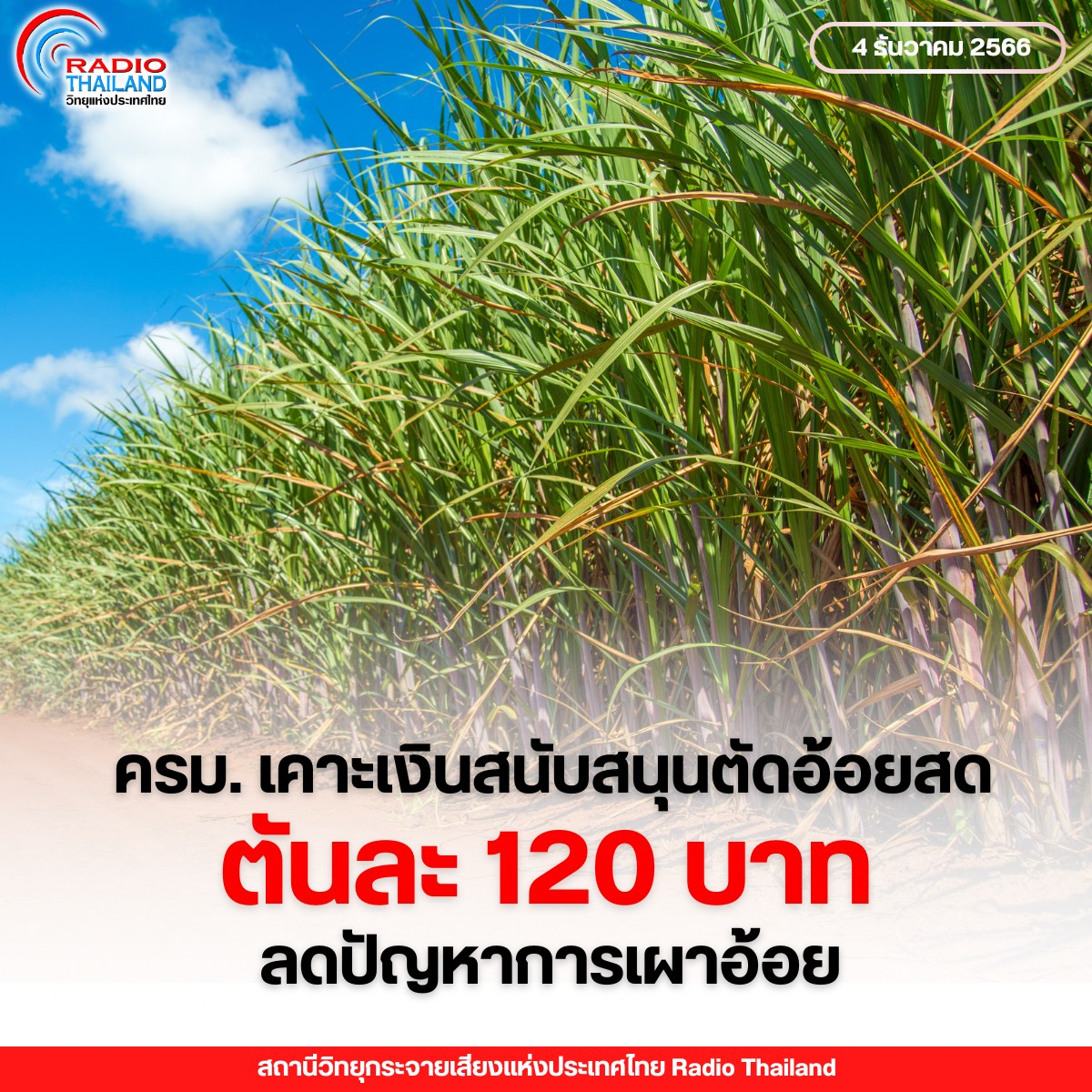 รูปภาพหน้าปก ae90631d-577e-436a-8622-4272402959cc