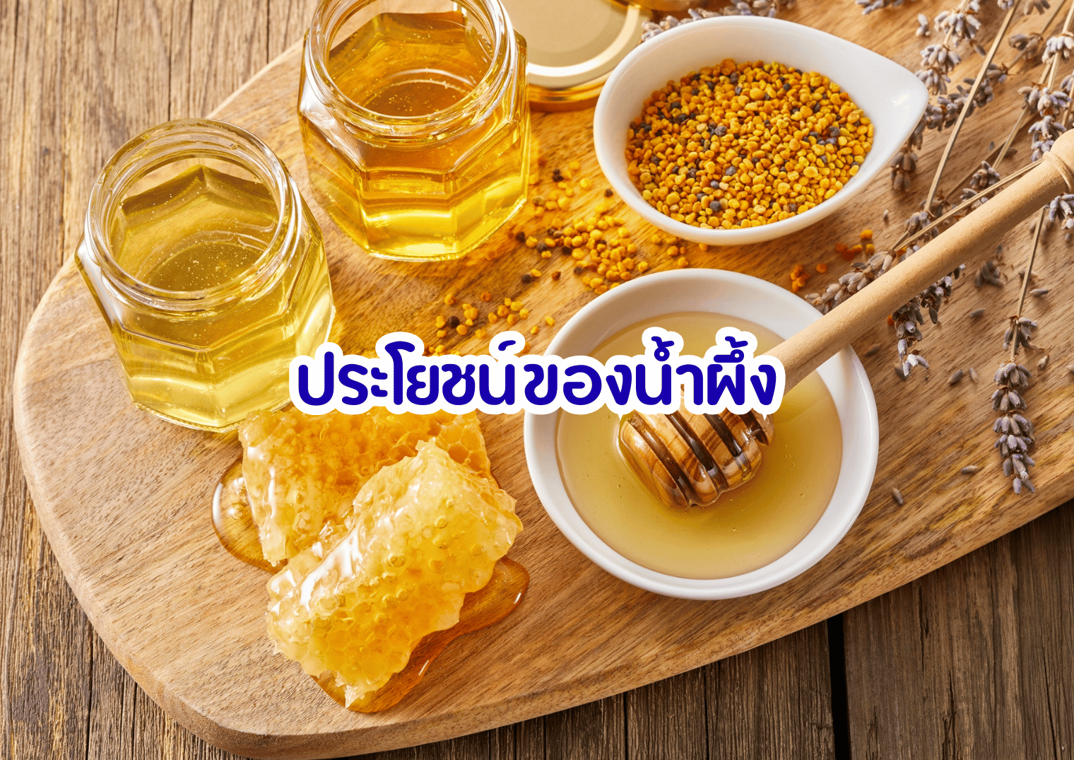 รูปภาพหน้าปก f3b0ff47-f70f-4366-b1dc-b64cf387f558