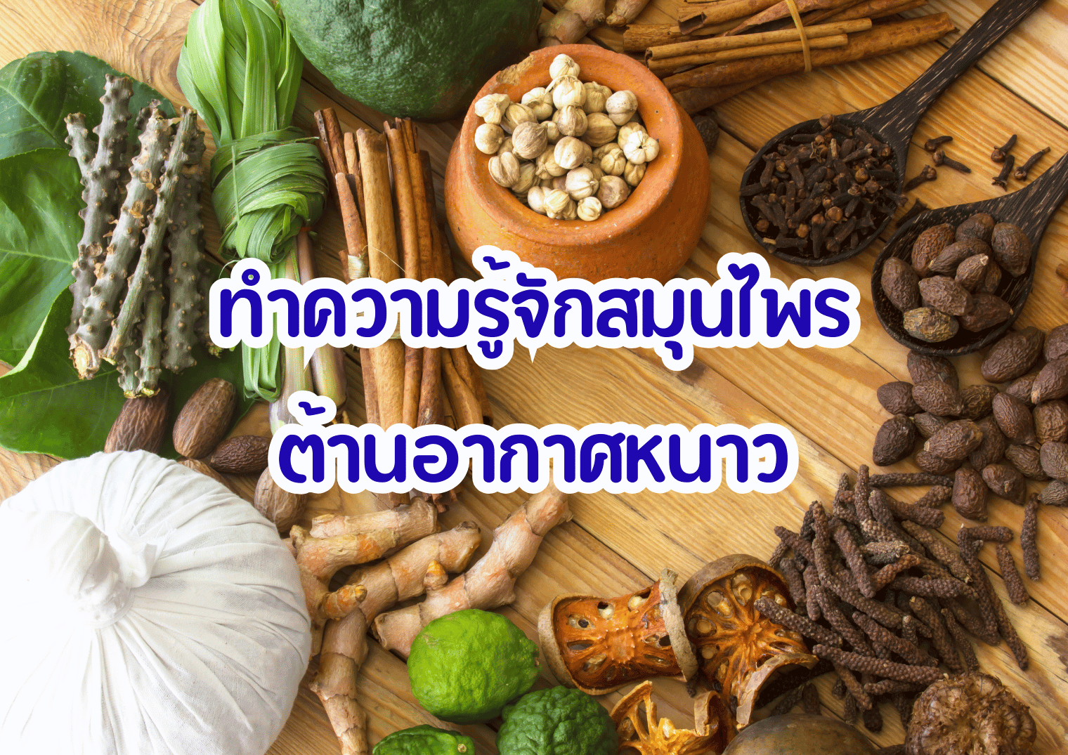 รูปภาพหน้าปก 8022c7e7-4ec4-464d-948e-61fdb9fe3278