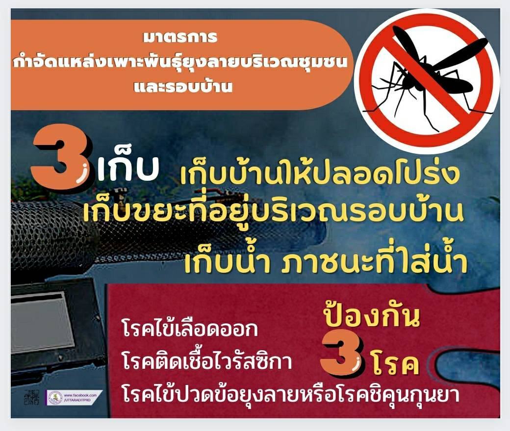 รูปภาพหน้าปก 774f51fe-36f8-472a-8cfc-d74bf658c4aa