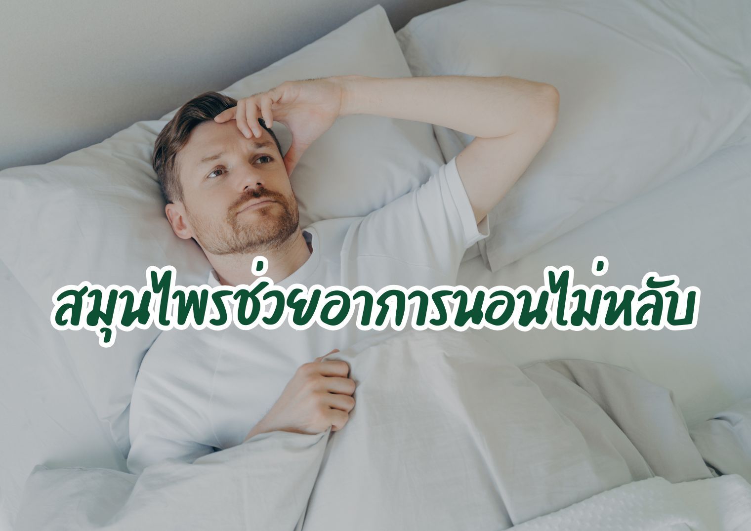 รูปภาพหน้าปก c49bba3a-4595-41ce-ba92-18f3795712c5