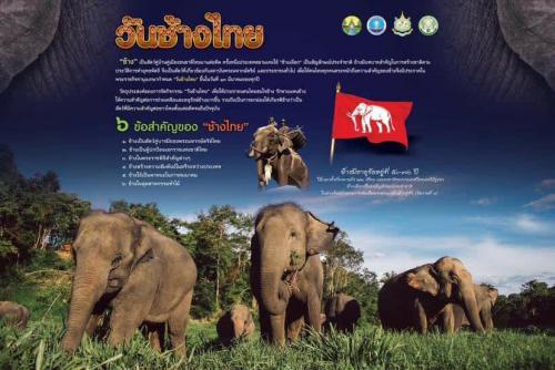 รูปภาพหน้าปก 911abcef-683a-4c5d-ab31-9876bc6ab7e3