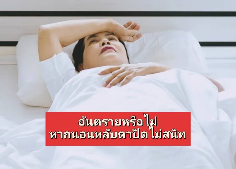 รูปภาพหน้าปก 2eacac8e-1395-41ba-9c3f-72c30c16feb9