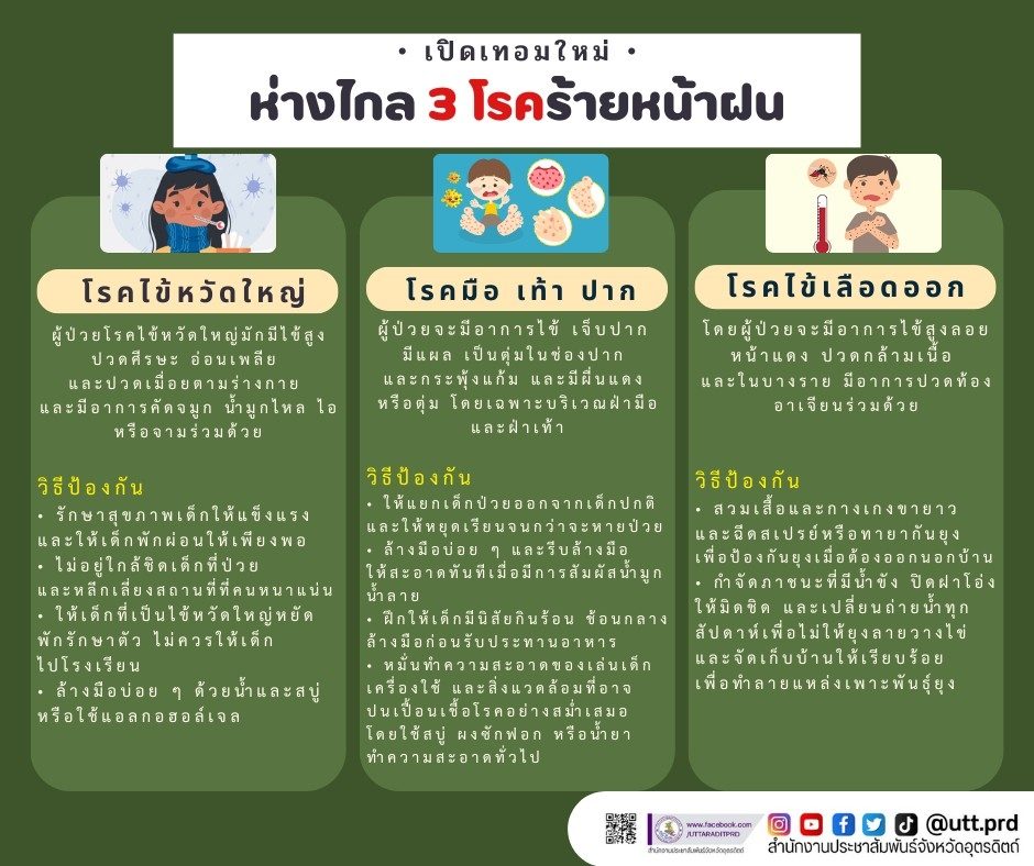 รูปภาพหน้าปก 02e64a93-1aca-4a49-bf21-cf0ebd746f80