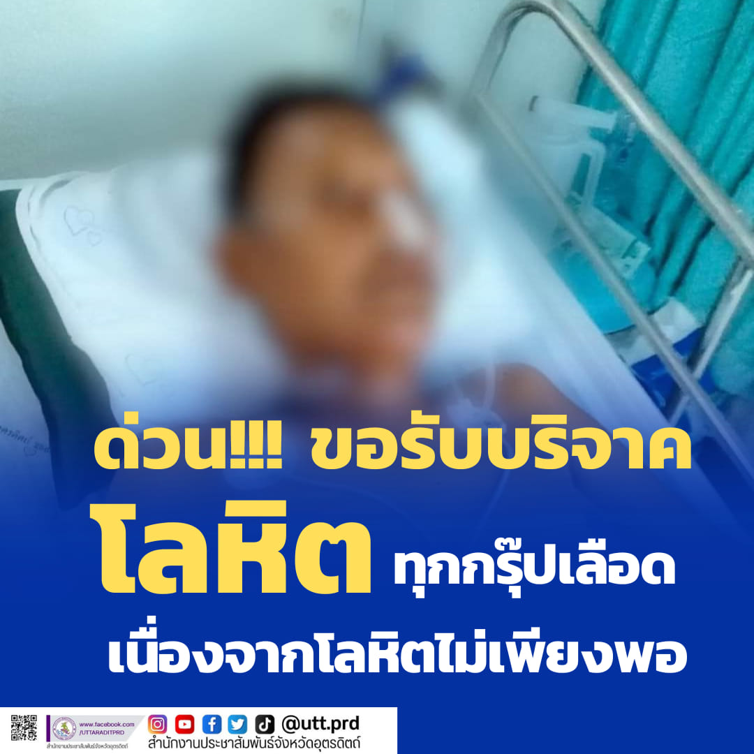 รูปภาพหน้าปก 8f3b2523-8b61-46ea-8003-5a316caced35